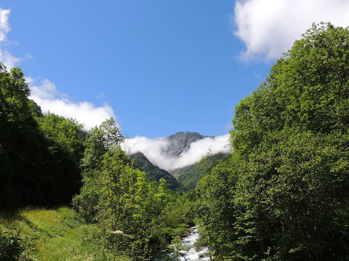 Auberge Les Myrtilles Couflens Екстер'єр фото