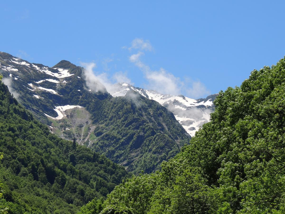Auberge Les Myrtilles Couflens Екстер'єр фото
