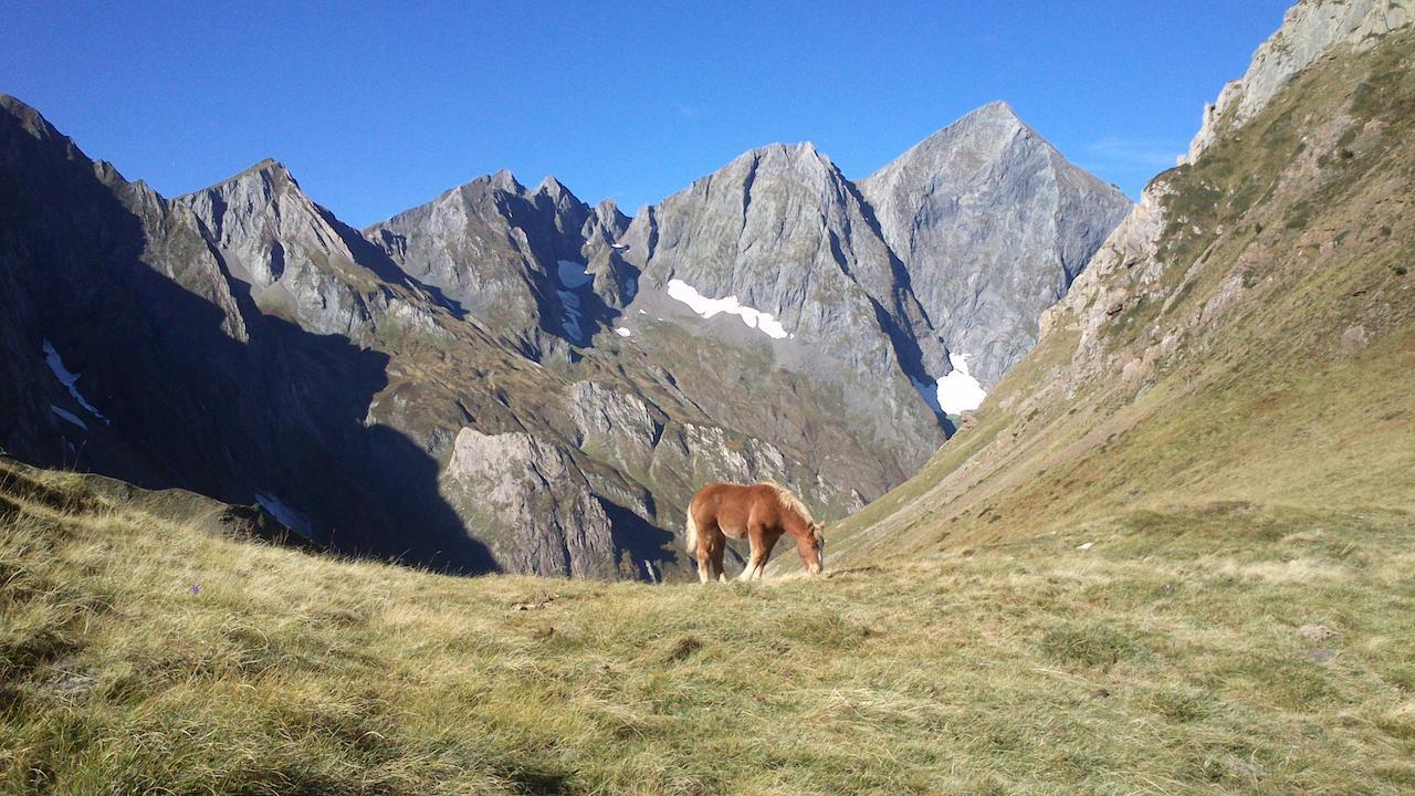 Auberge Les Myrtilles Couflens Екстер'єр фото