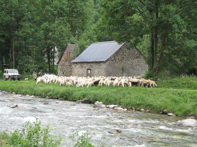 Auberge Les Myrtilles Couflens Екстер'єр фото